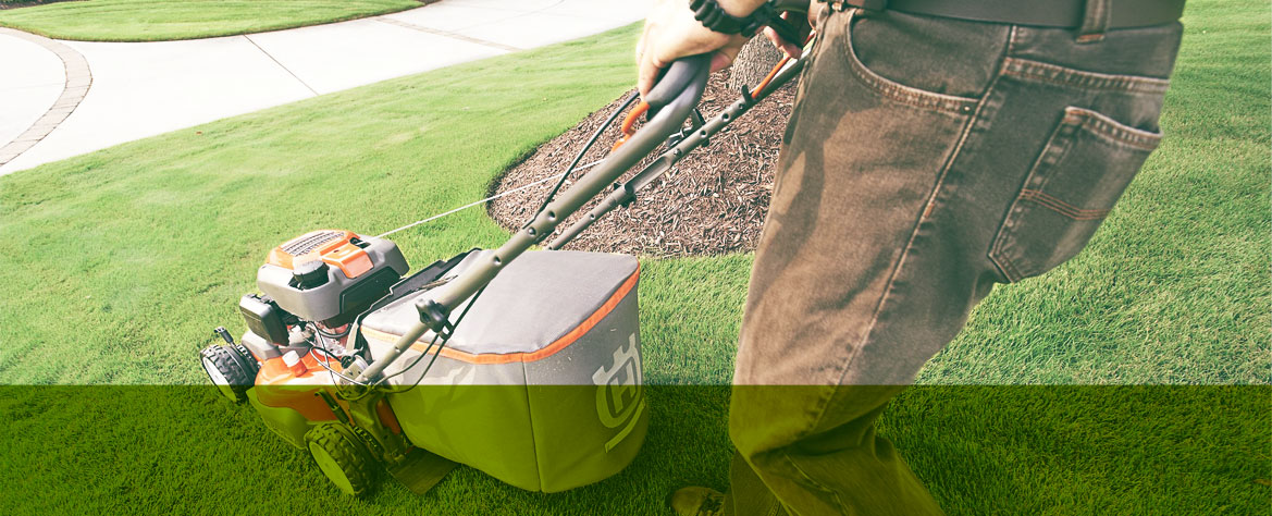 lawn maintainence image